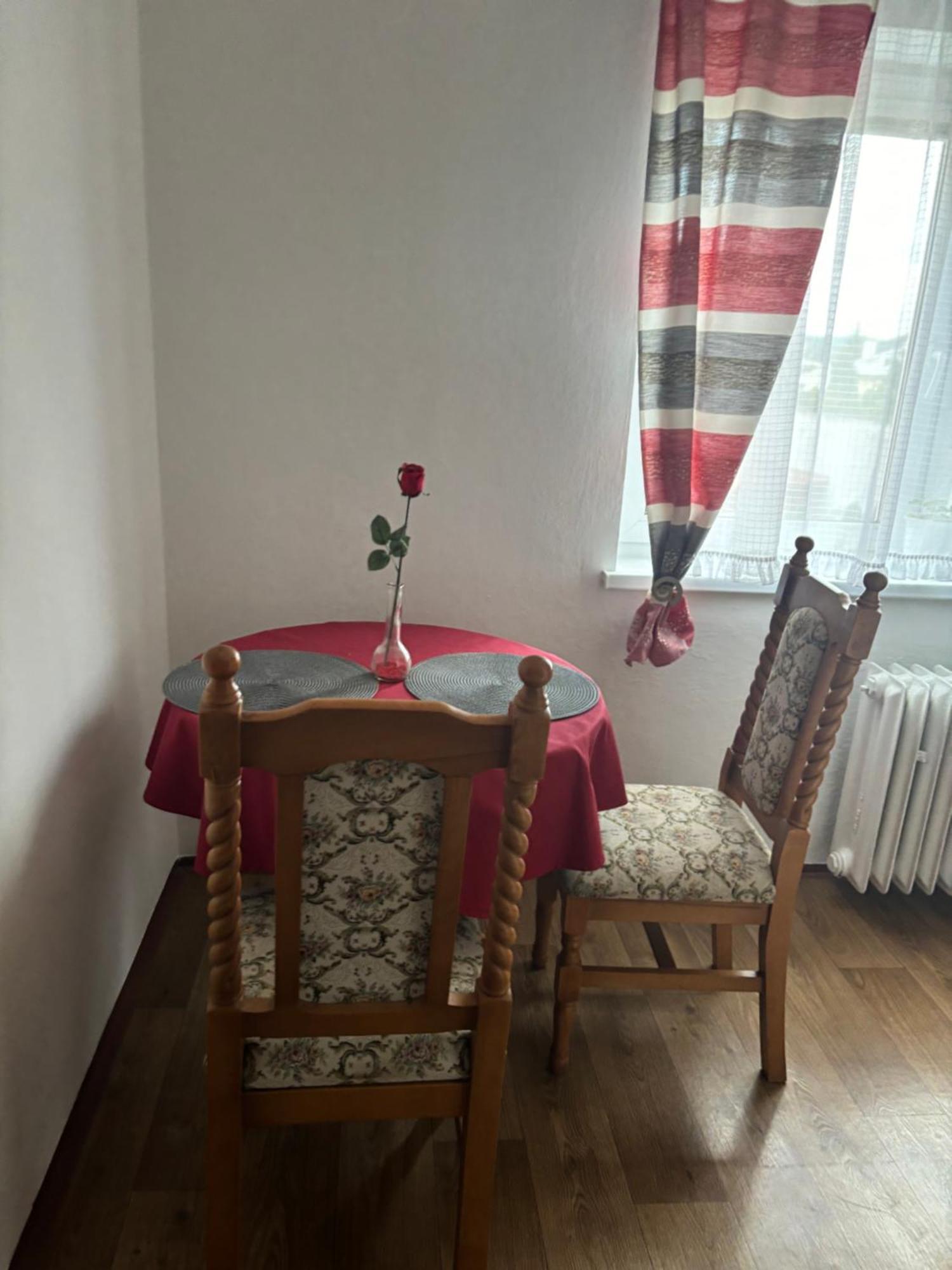 Penzion U Dusku Karlovy Vary Extérieur photo